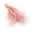 Stipa wrzosowa.png
