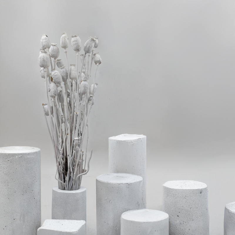 Makowka Bielona Barwiona.png