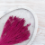 Broom Bloom Fuksja 2.png