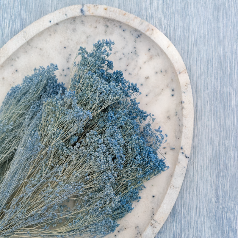 Broom Bloom Jasny niebieski 2.png