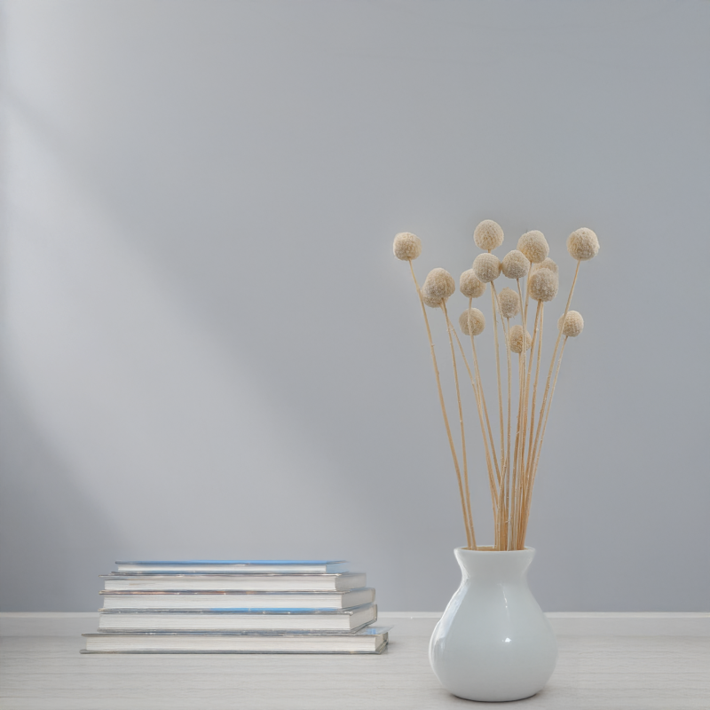 Craspedia biała IT 4.png