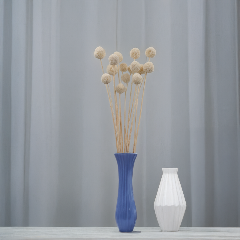 Craspedia biała IT 3.png