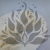 Asparagus Ming Fern ES 2.png