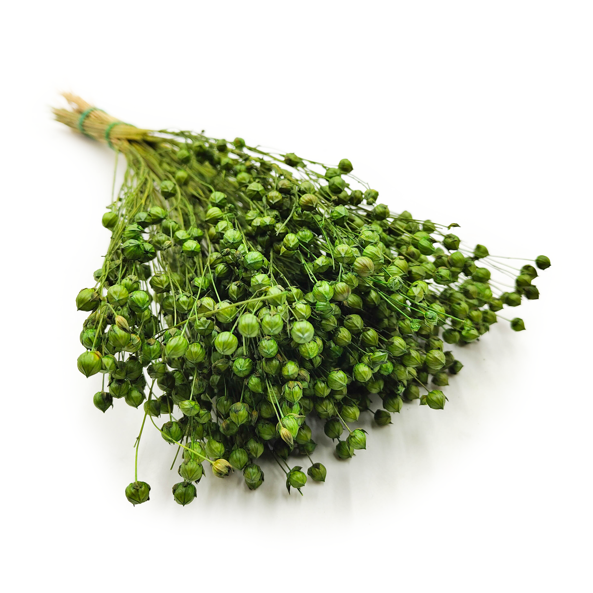 Lin Séché – Vert