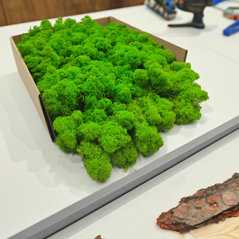 MECH chrobotek jasnozielony zblizenie3.png