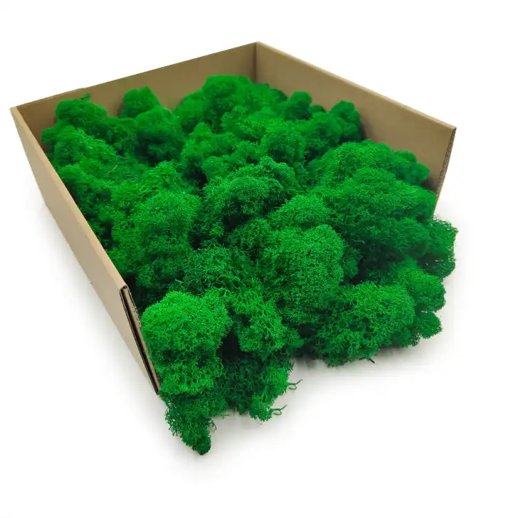 Zielony okladka.png