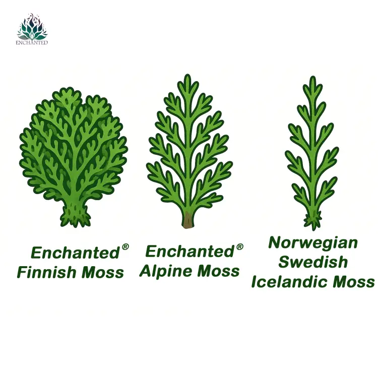 Rodzaje mchu porównanie.png