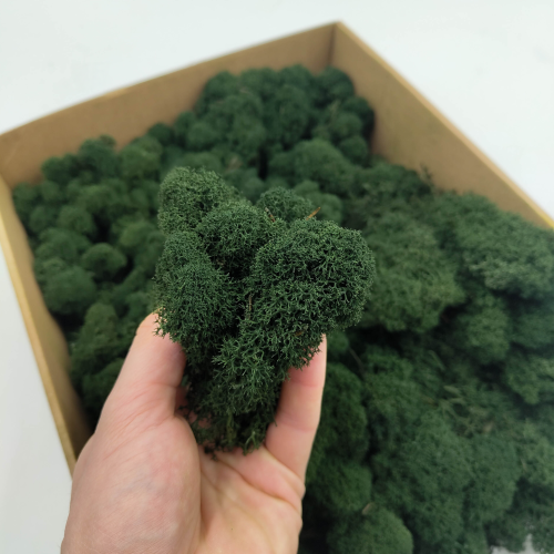 Ciemny zielony zblizeni.png