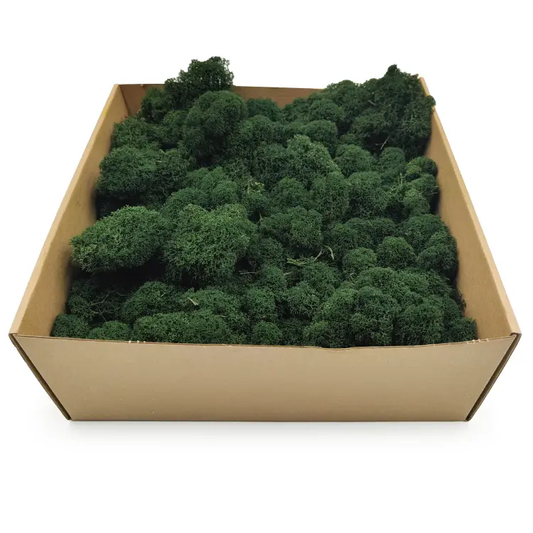 Ciemny zielony zblizeni2.png