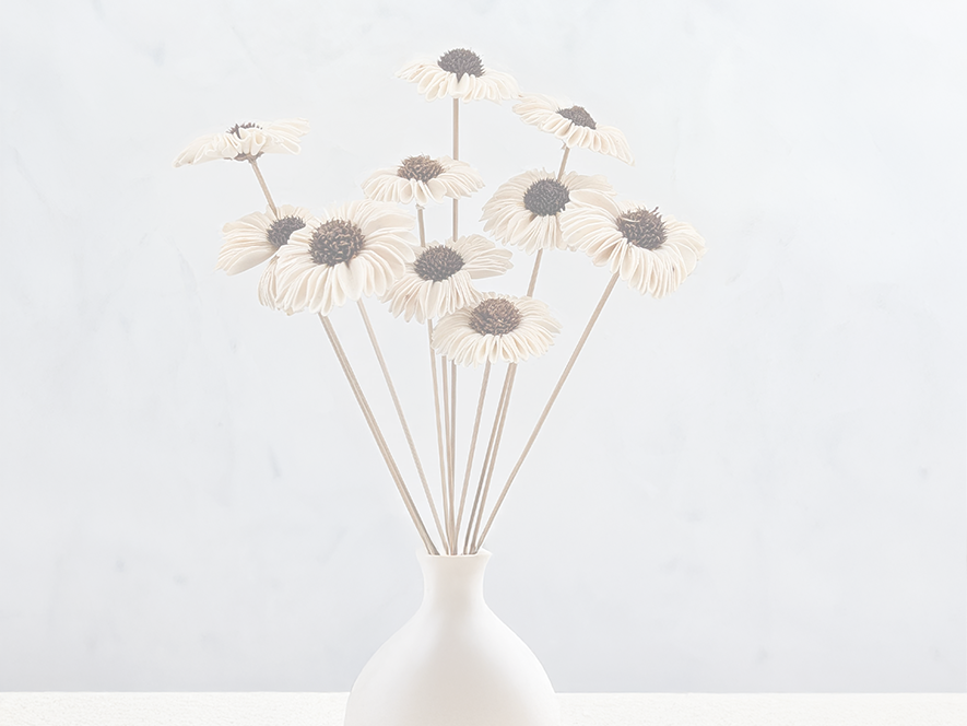 Fleurs Shola