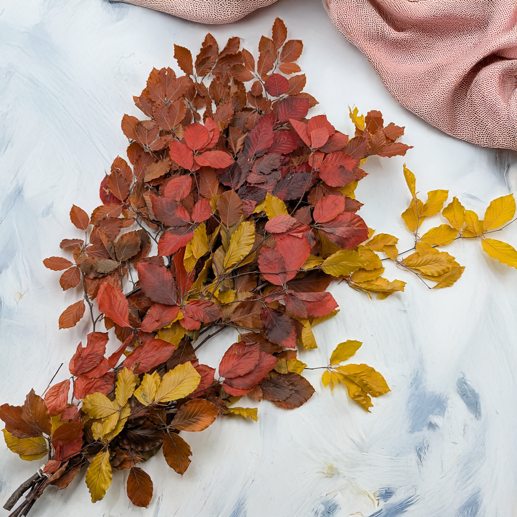 Hêtre stabilisé dans une couleur automnale