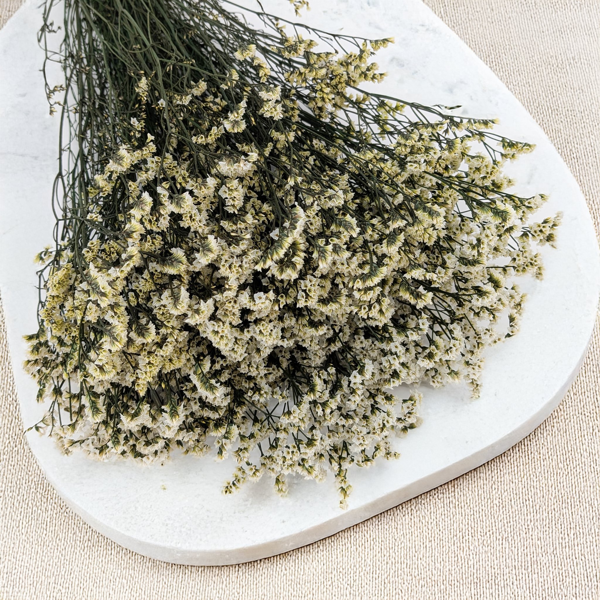 Limonium Sinense stabilisé pour couronnes