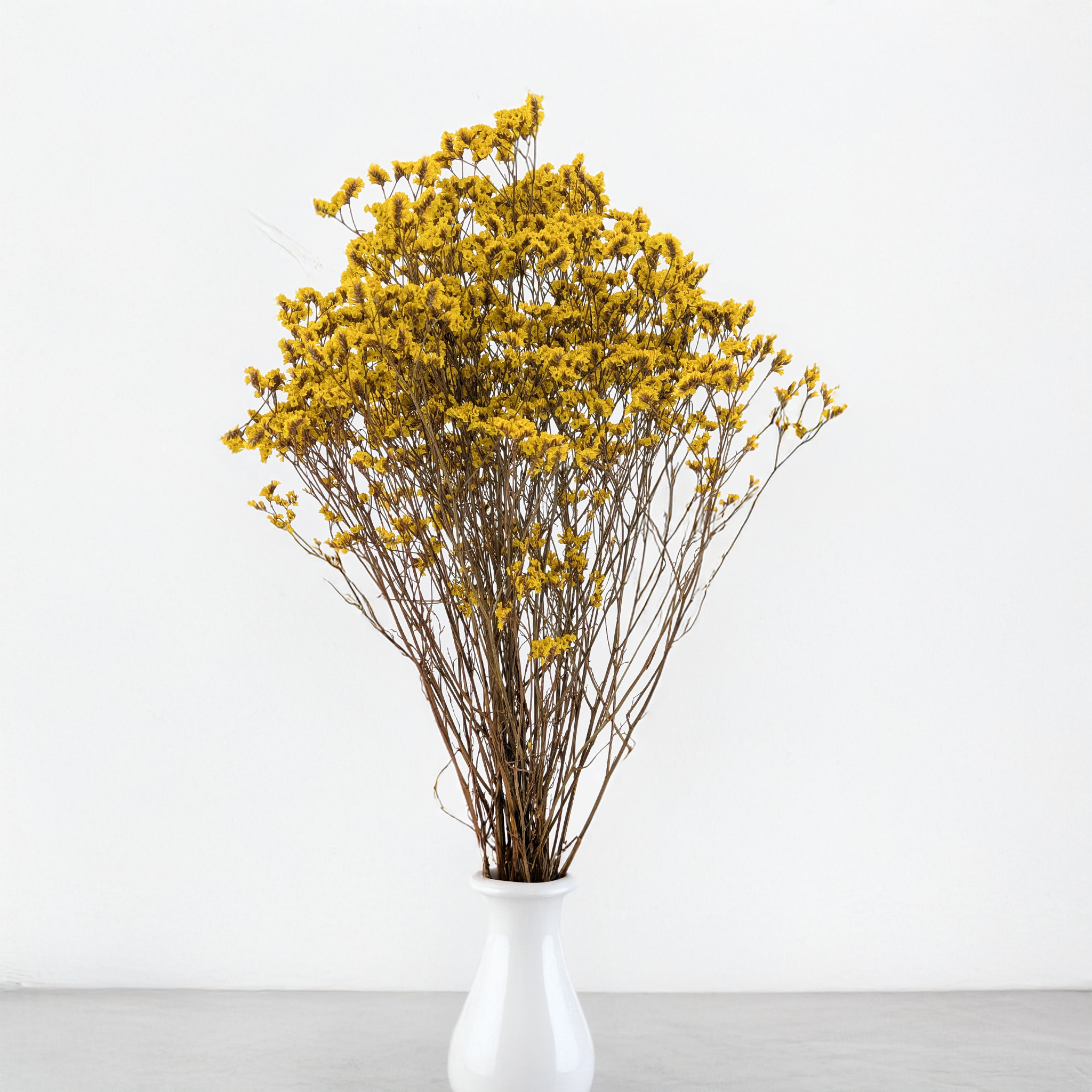 Limonium Sinense stabilisé coloré