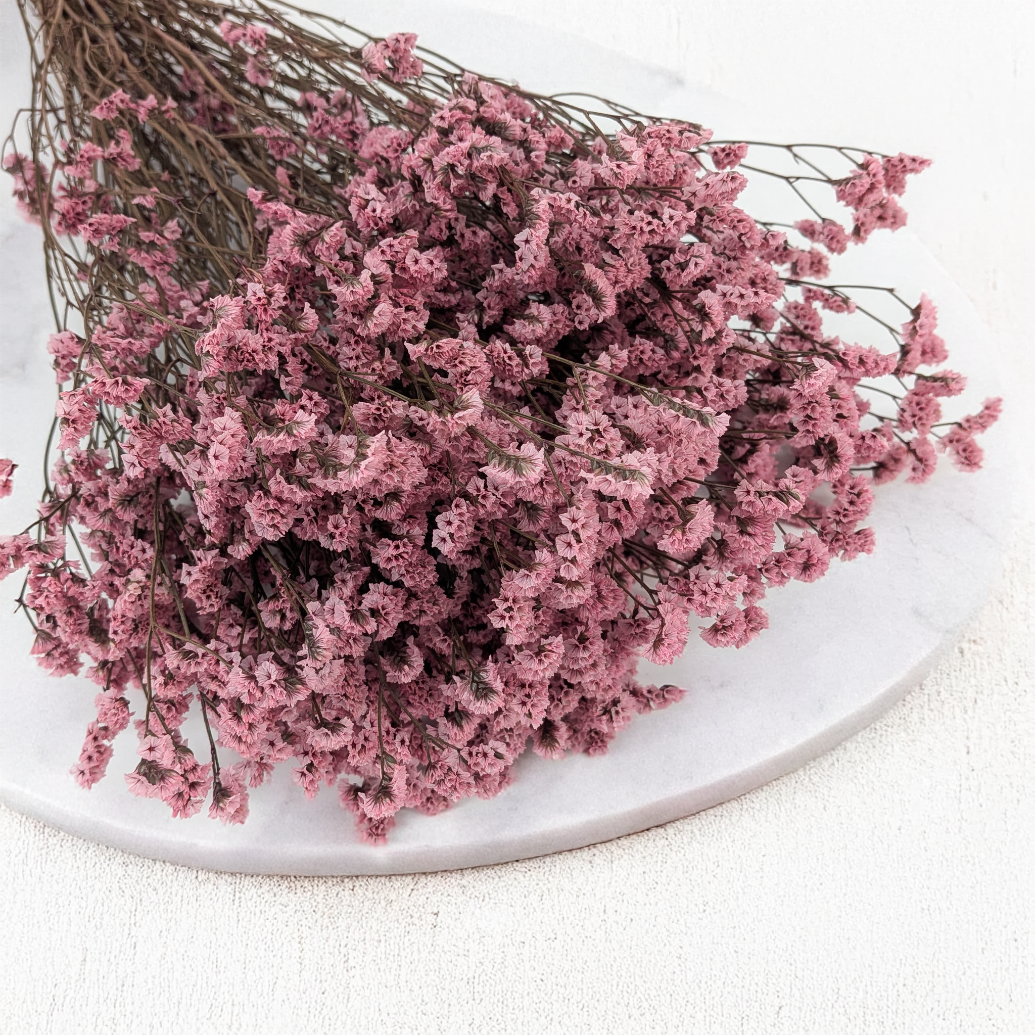 Limonium Sinense stabilisé