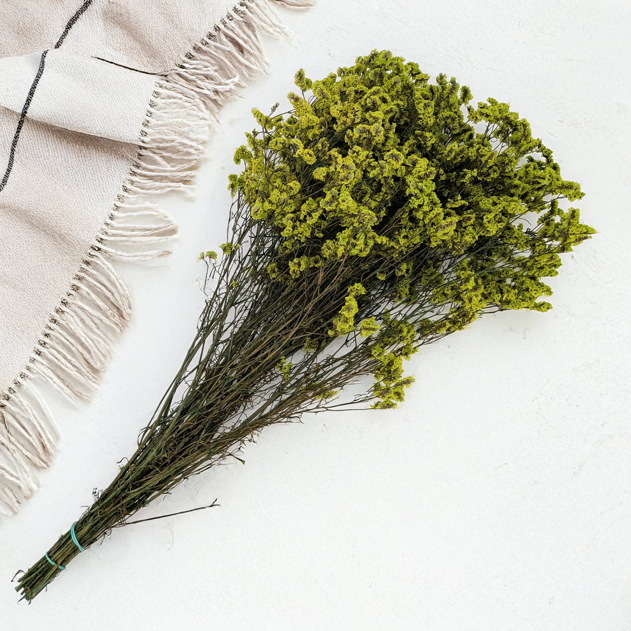 Limonium Sinense pour décorations florales