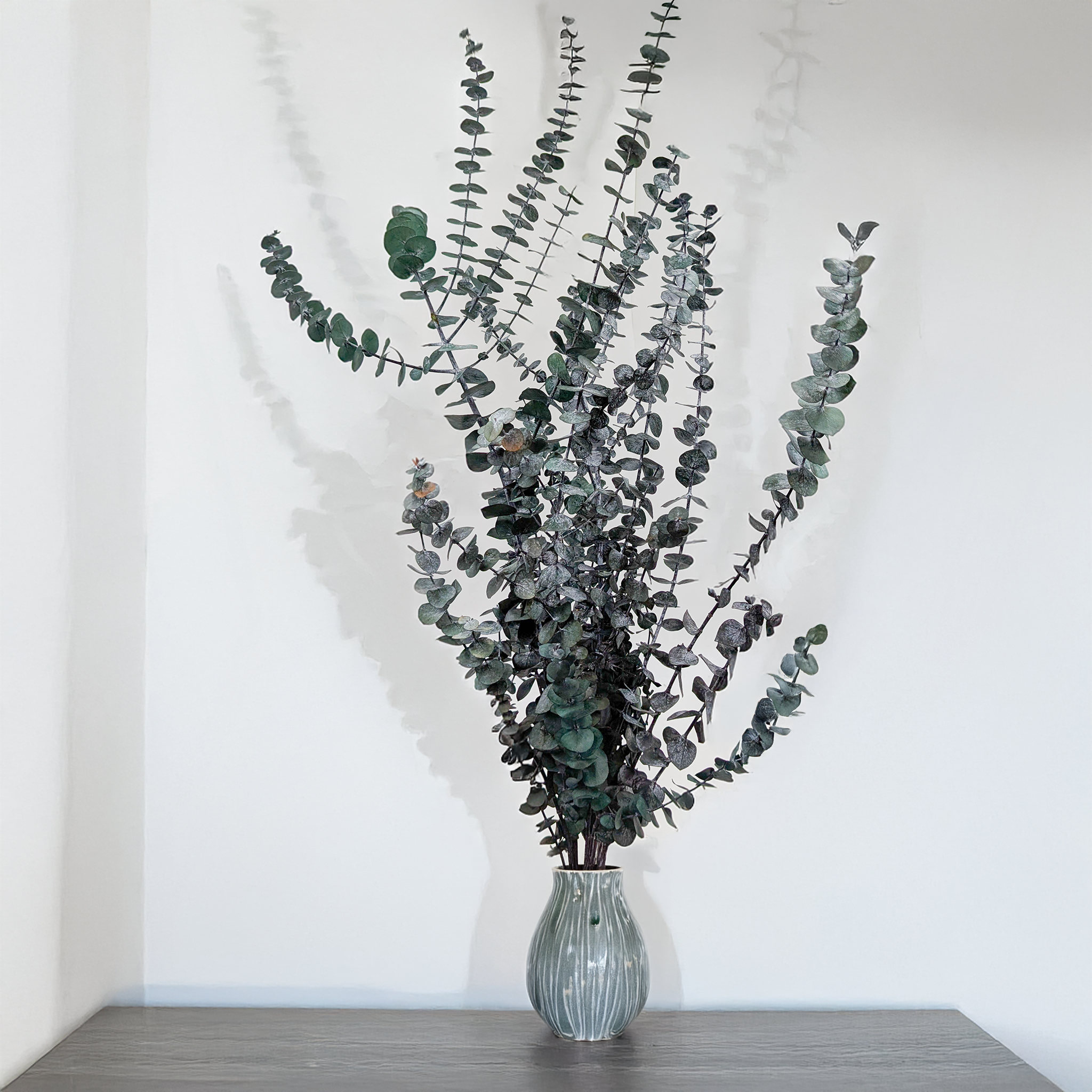 Eucalyptus Baby Blue naturel