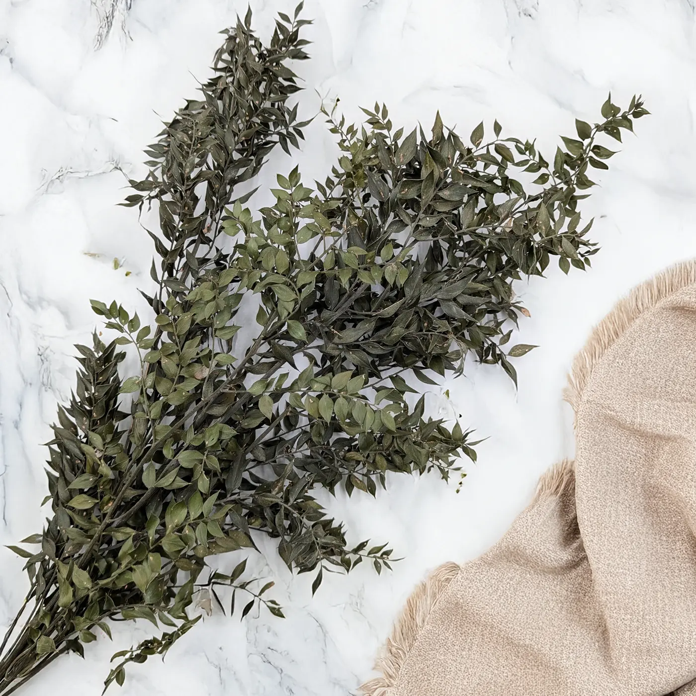 Ruscus séché pour compositions d’automne