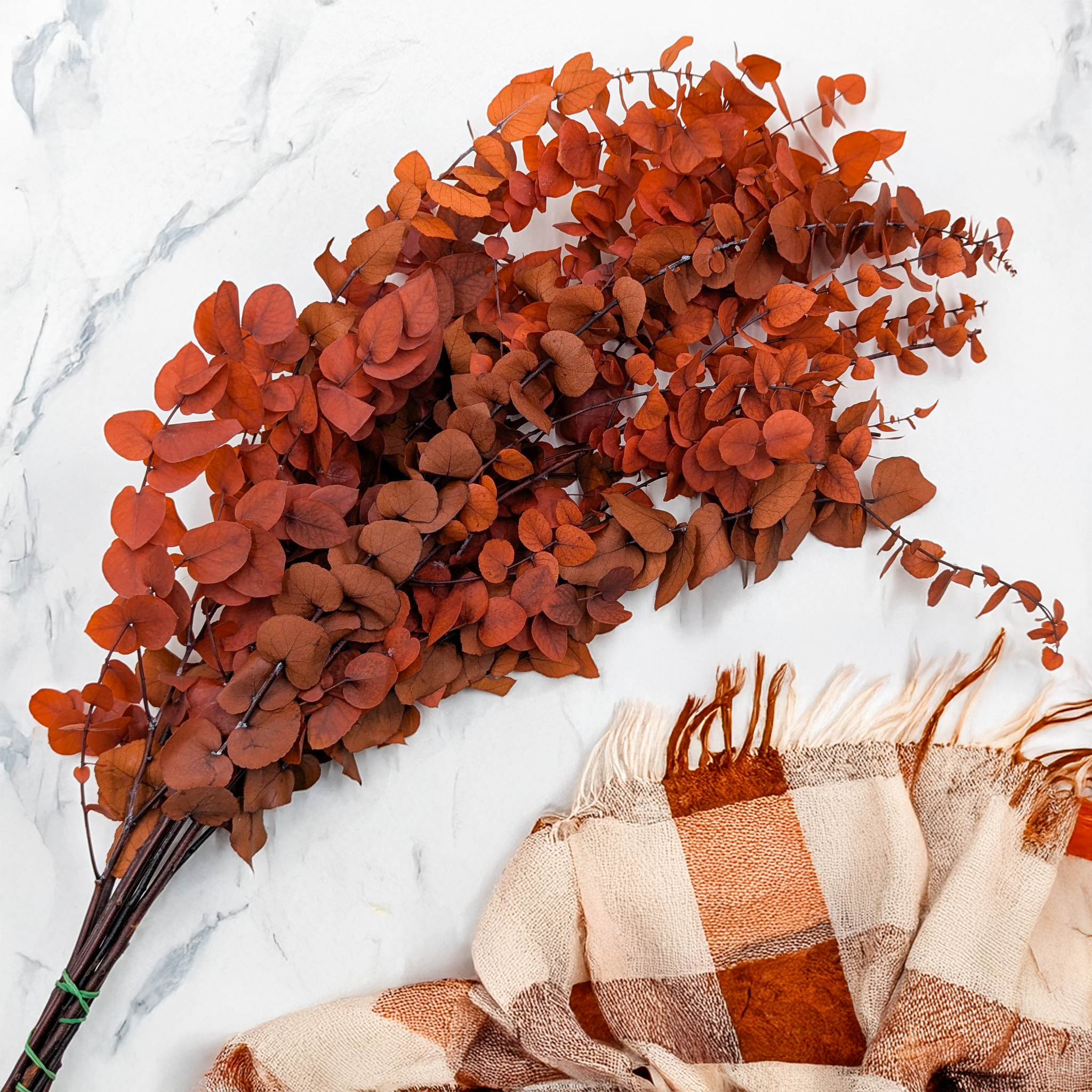 Eucalyptus Stuartiana orange