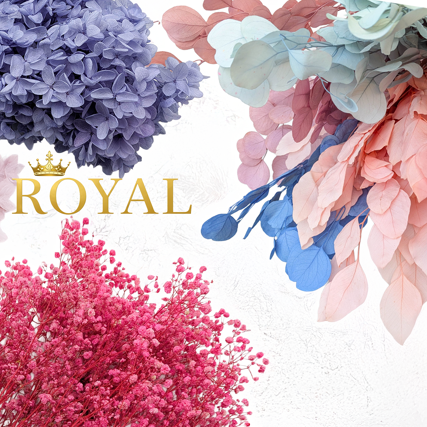 ROYAL by Enchanted