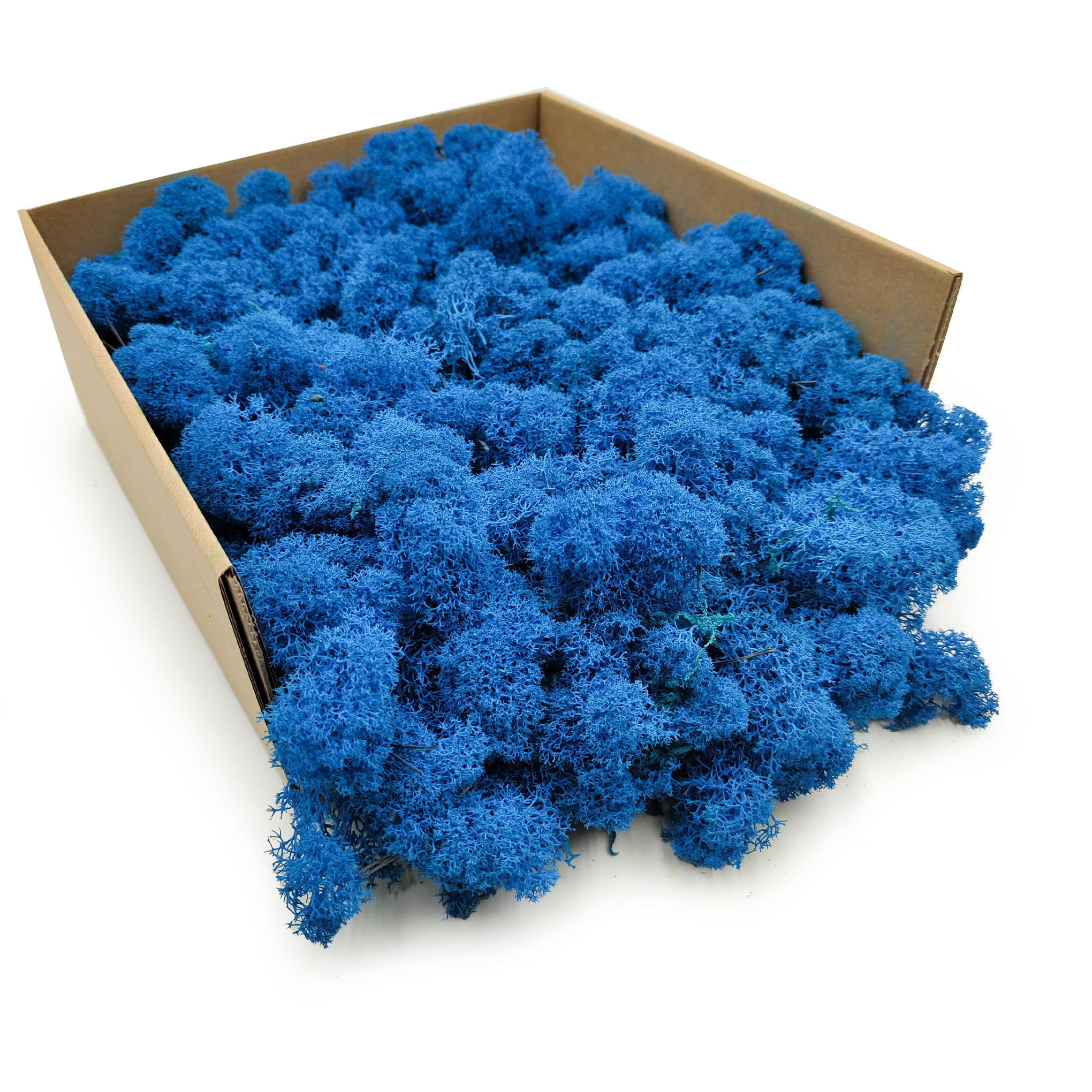 Lichen de renne finlandaise stabilisée – Nettoyée – Bleu 4 kg NET