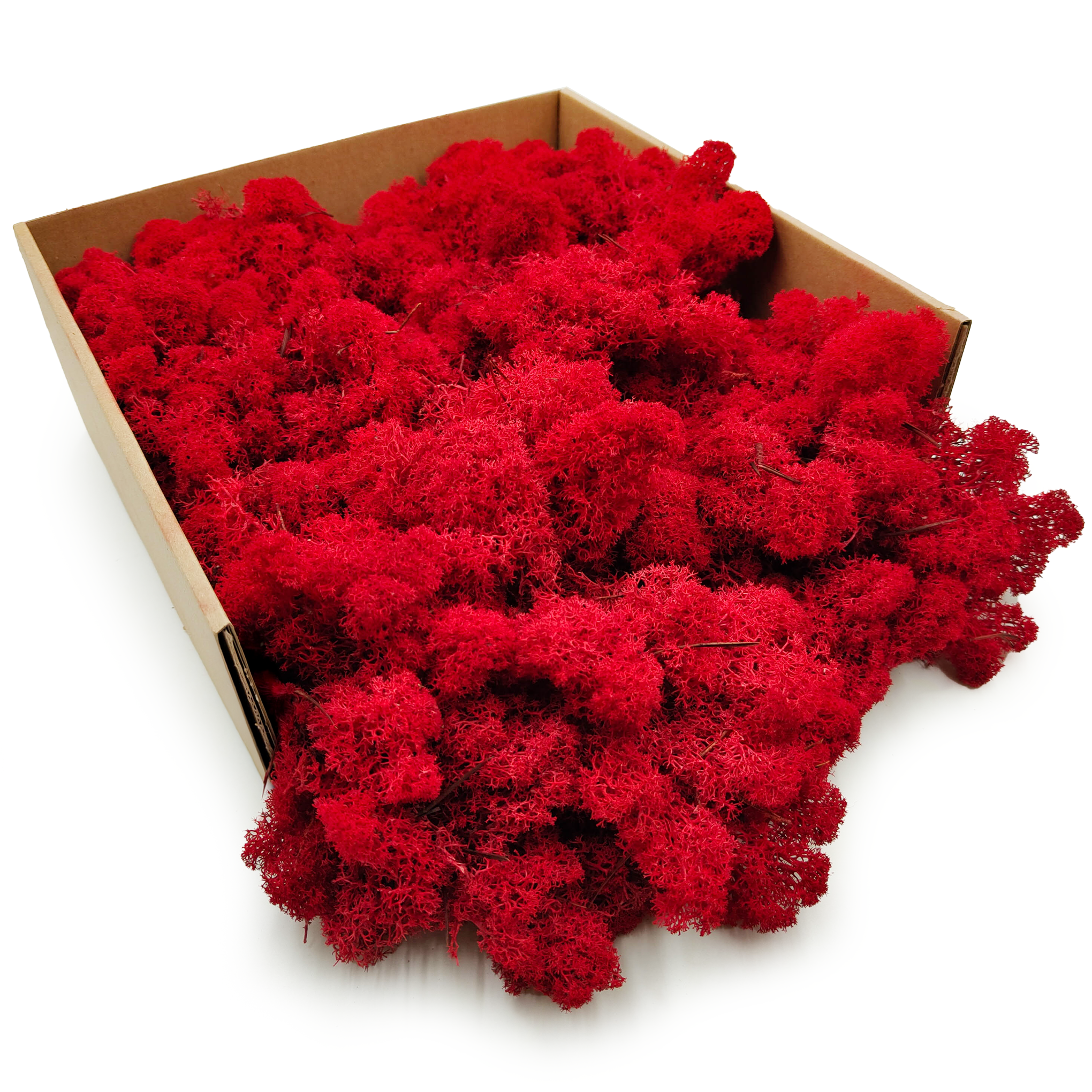 Lichen de renne finlandaise stabilisée – Nettoyée – Rouge 2 kg NET