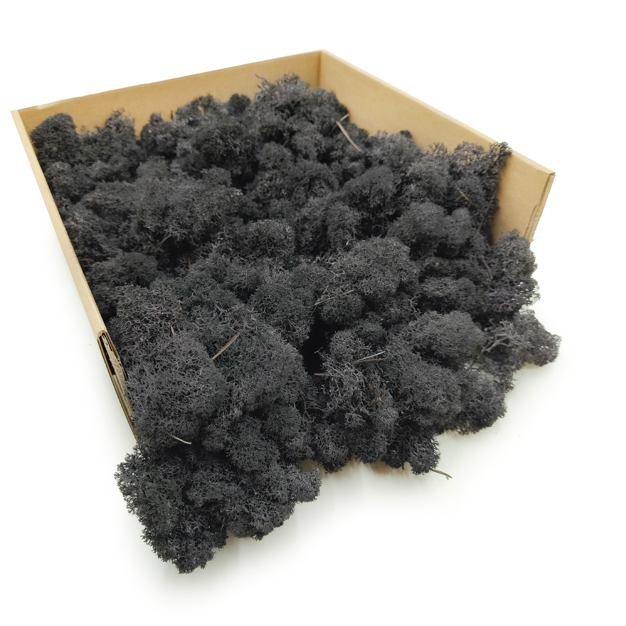 Lichen de renne finlandaise stabilisée – Nettoyée – Noir 500 g NET