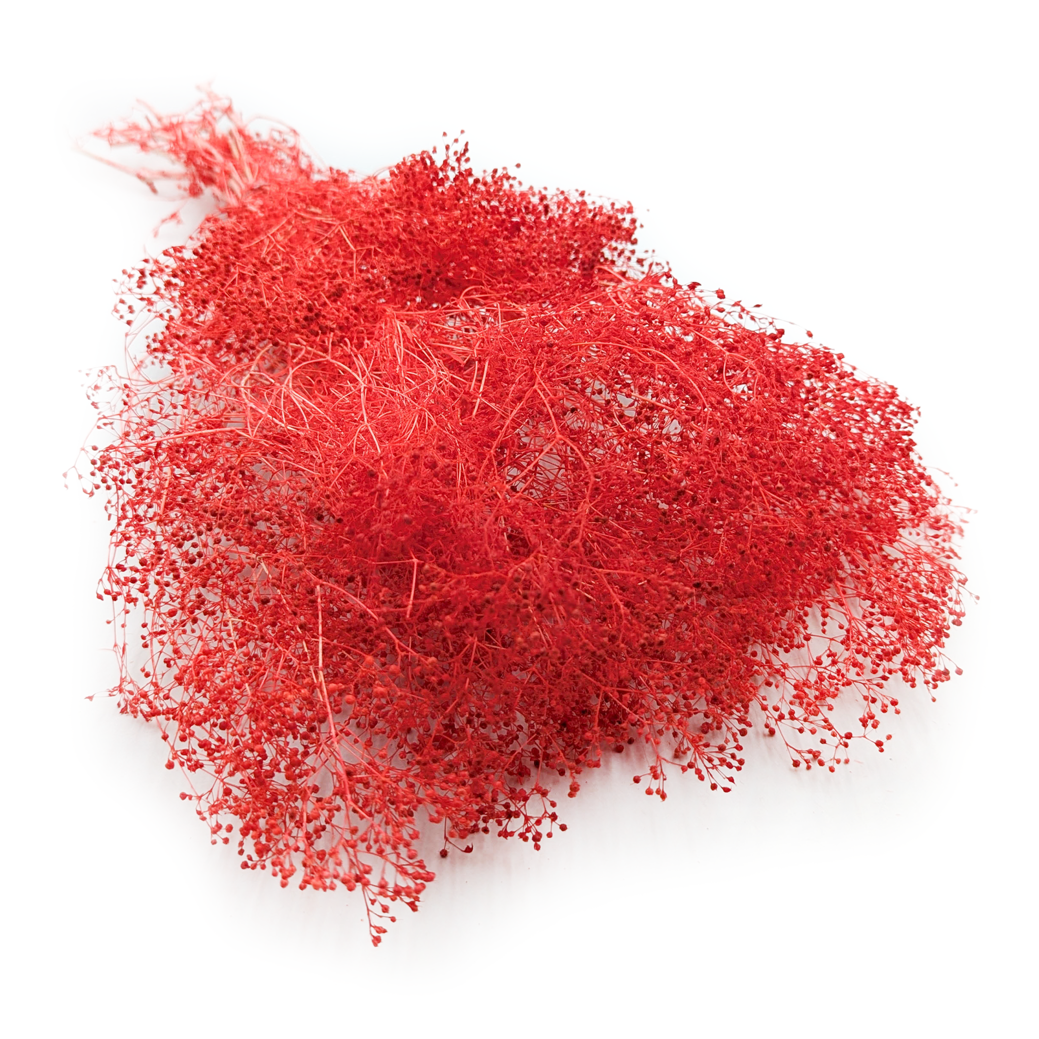Gypsophile Stabilisée MINI – Rouge