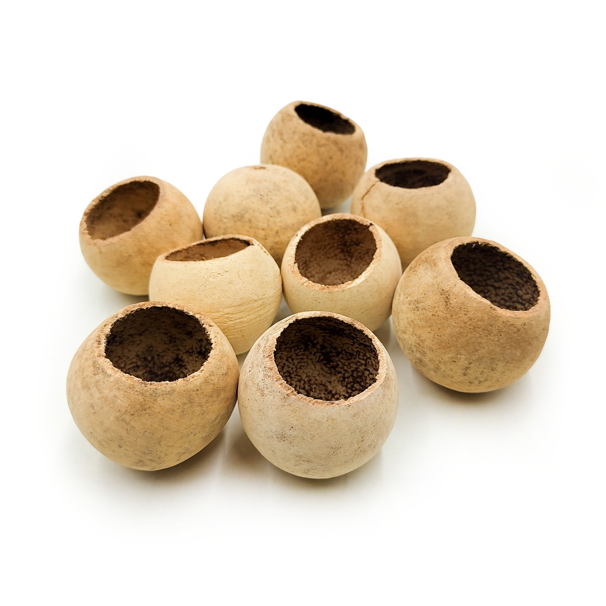 Bell Cup Naturel – Grand Format – Lot de 10 pièces