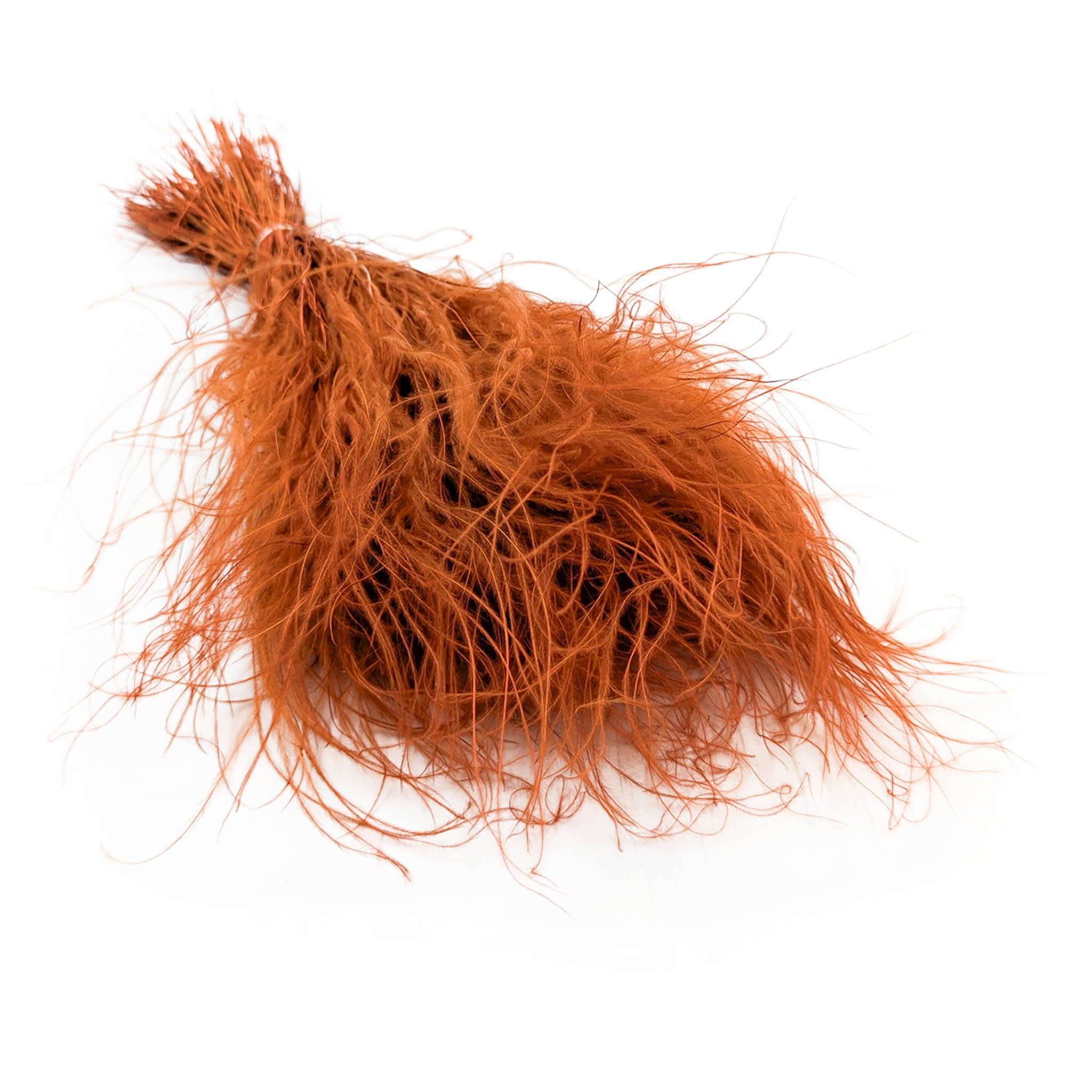 Stipa pennata – Herbe aux plumes - (Stipa pennata) – Terracotta Foncée