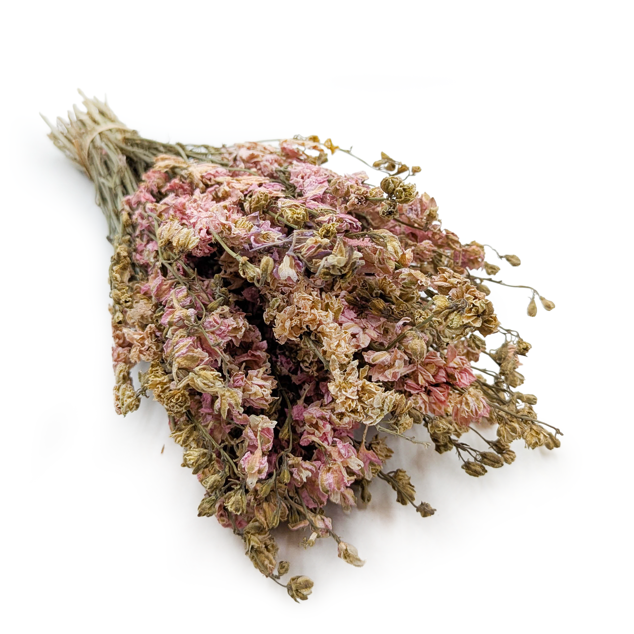 Pied-d’alouette Séché – (Delphinium) – Rose