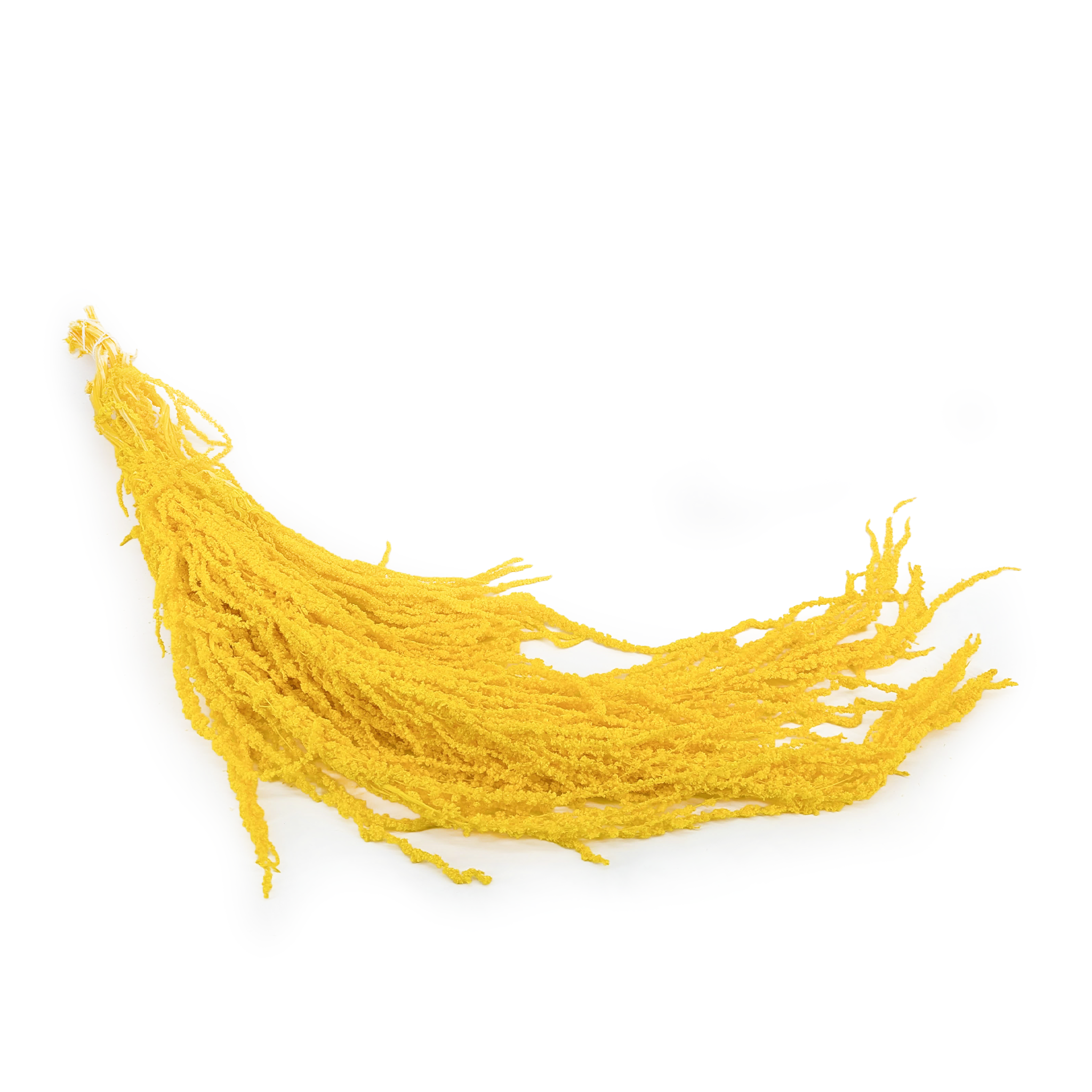 Amarante stabilisée - Royal – Jaune