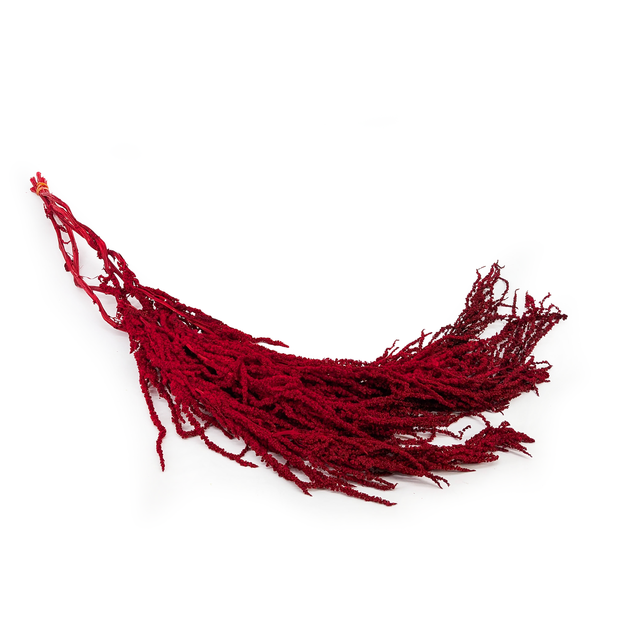 Amarante stabilisée - Royal – Rouge