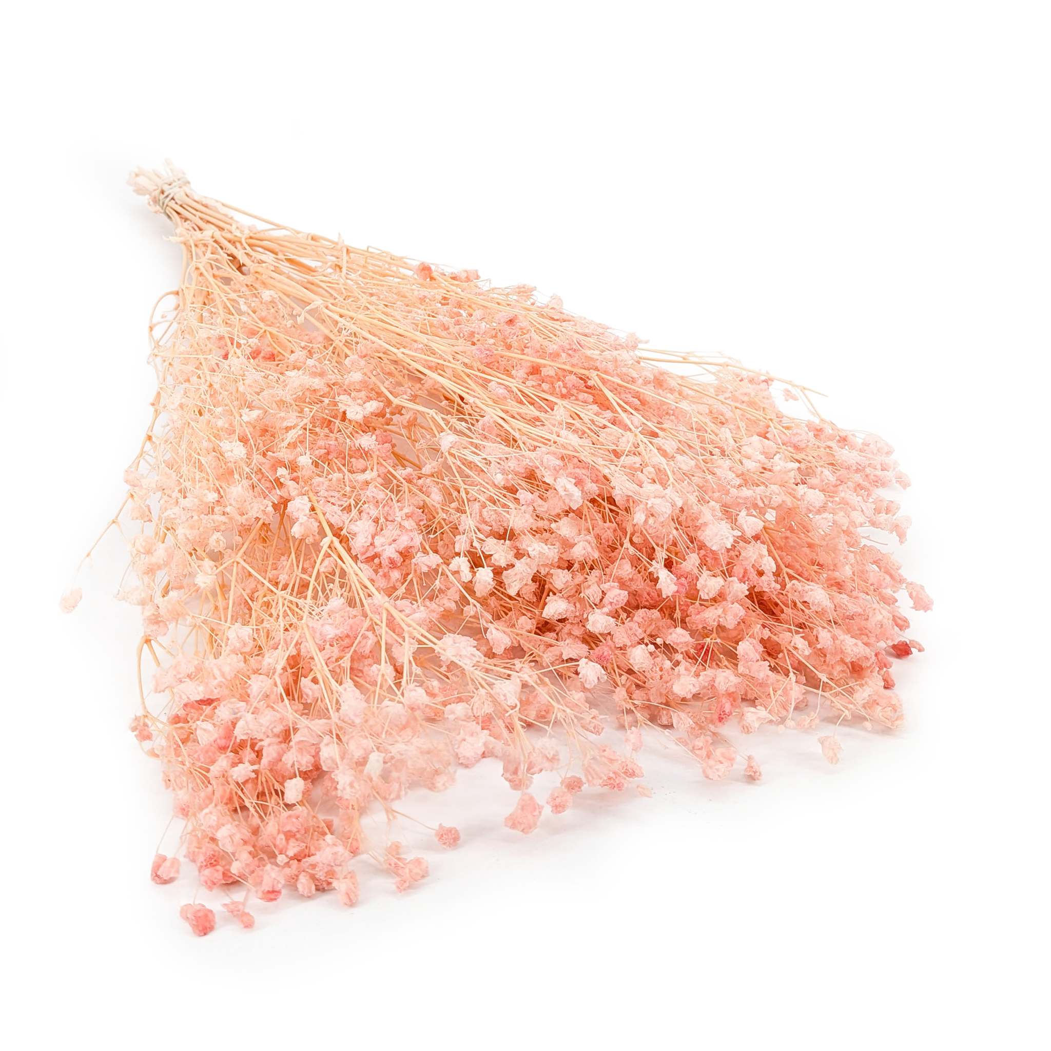 Gypsophile stabilisée – (Gypsophila) – Rose Tendre