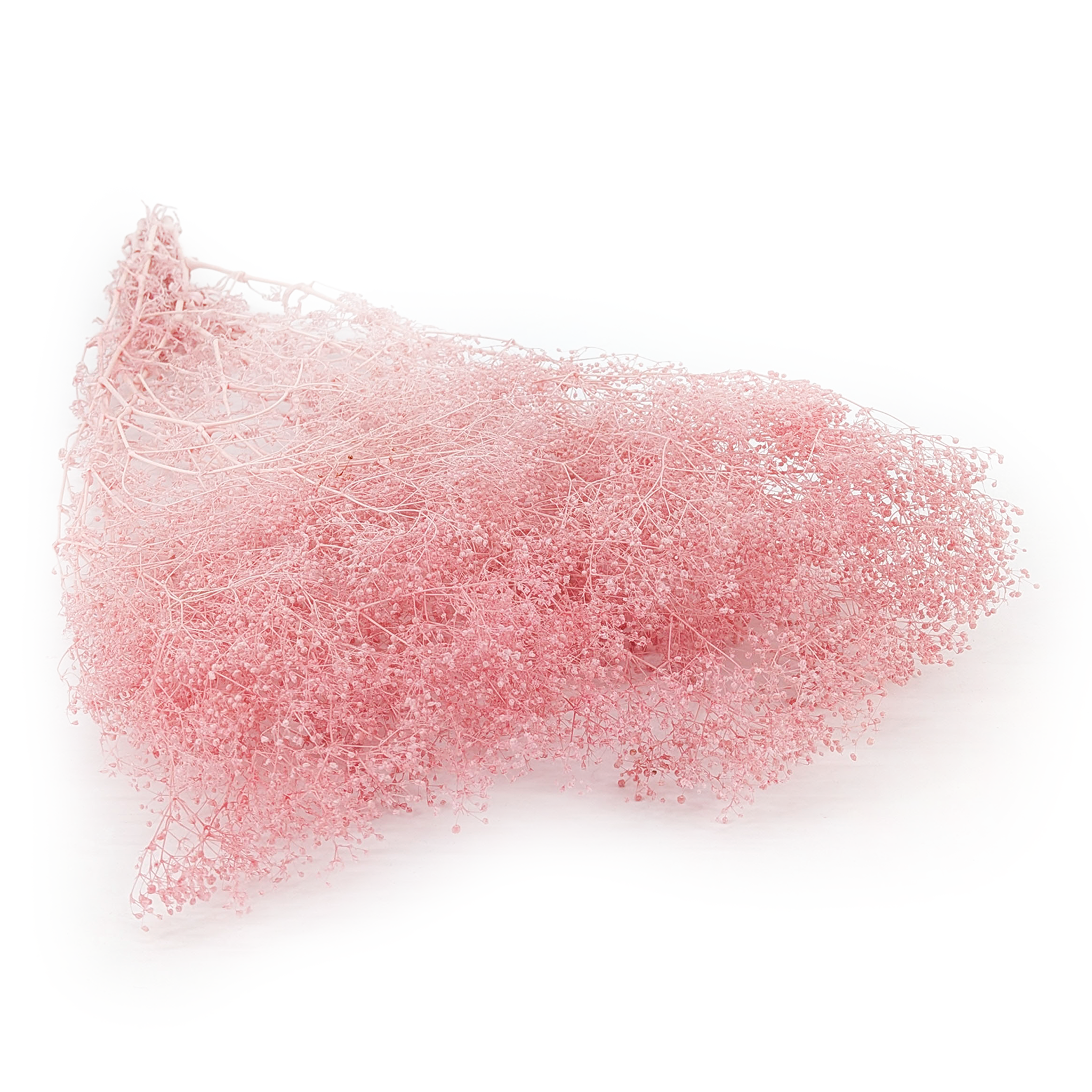 Gypsophile Stabilisée MINI – Rose Pastel
