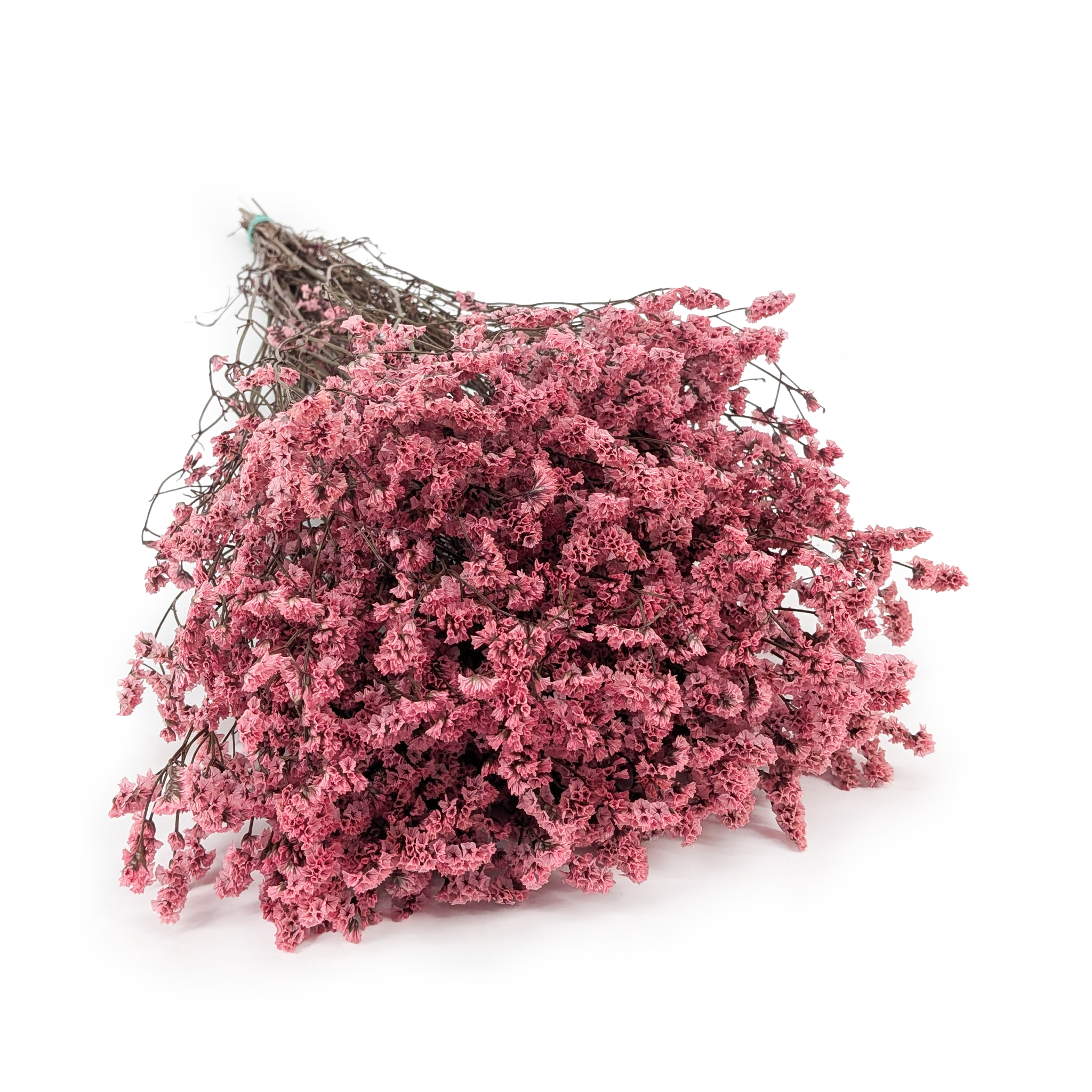 Limonium Stabilisé – (Limonium Sinense) – Rose Poudré