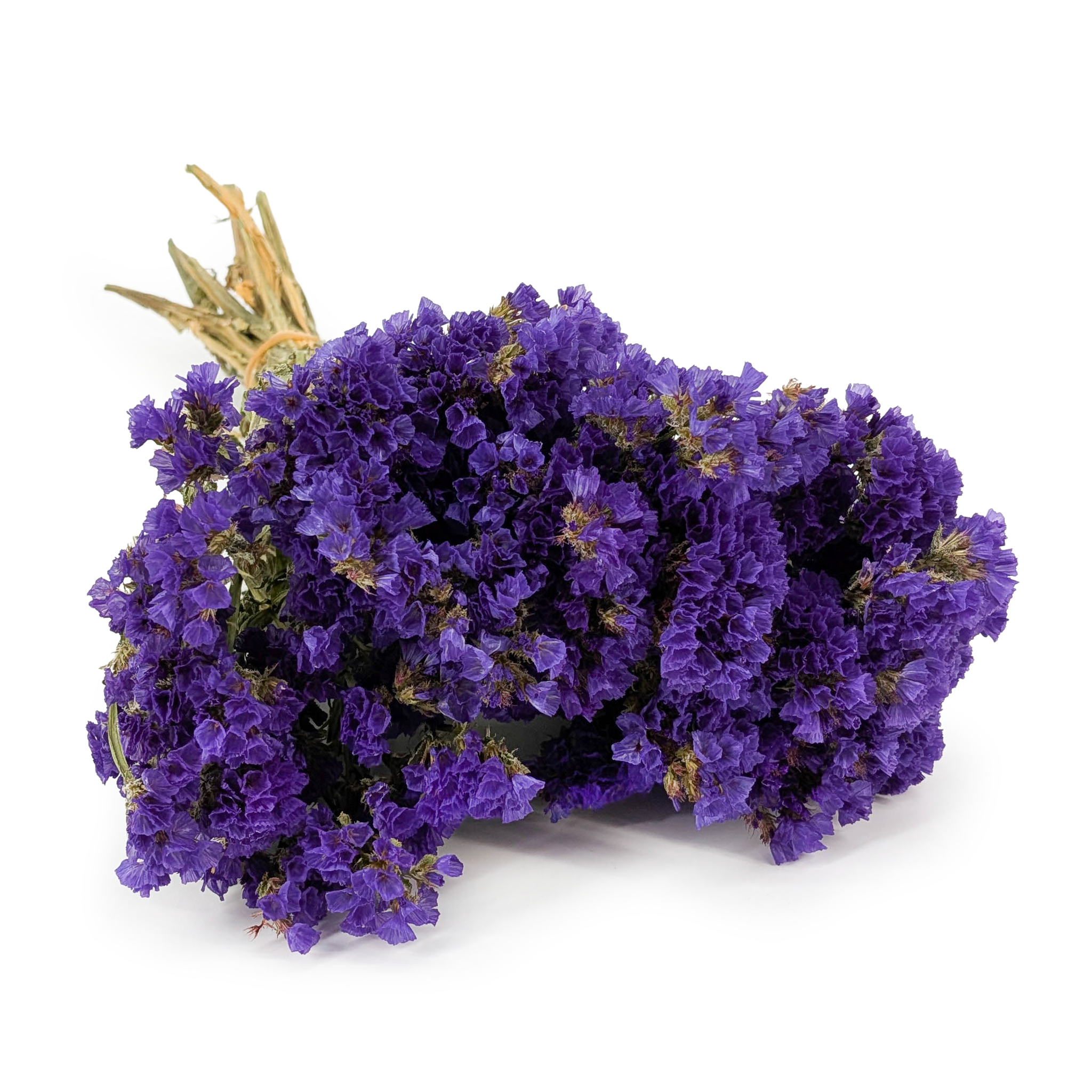 Statice Séché – (Limonium sinuatum) – Violet Foncé