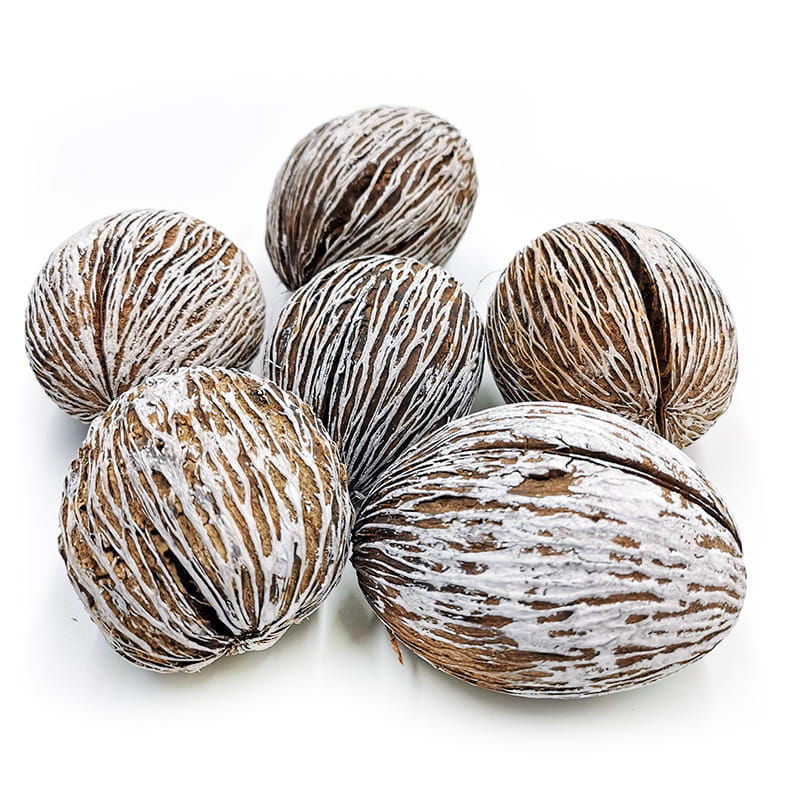 Boule de Mintola (Mintola Ball) - végétal exotique séché - 6 szt.