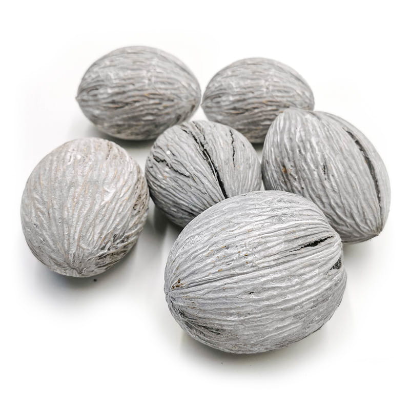 Boule de Mintola (Mintola Ball) - végétal exotique séché - 5 szt.