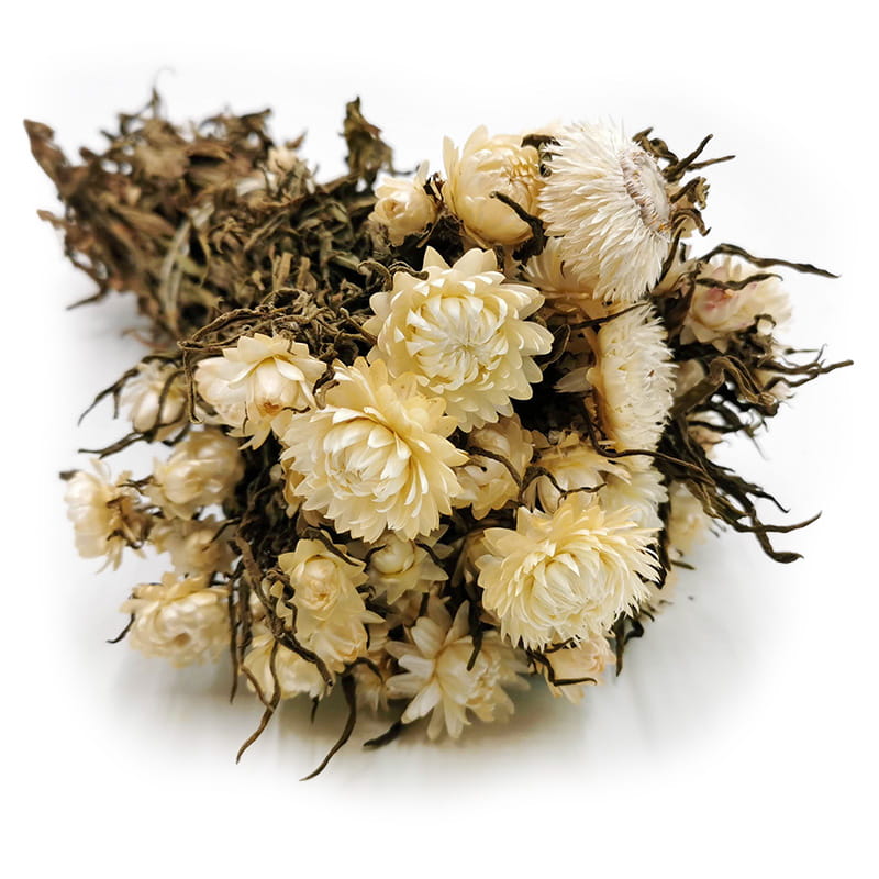 Immortelle Séchée – (Helichrysum) – Blanche