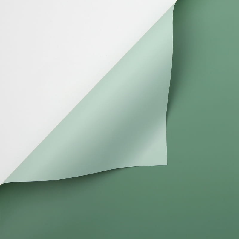 Film floral - Vert pastel + Vert sauge - Feuilles 58x58 cm - 20 pcs