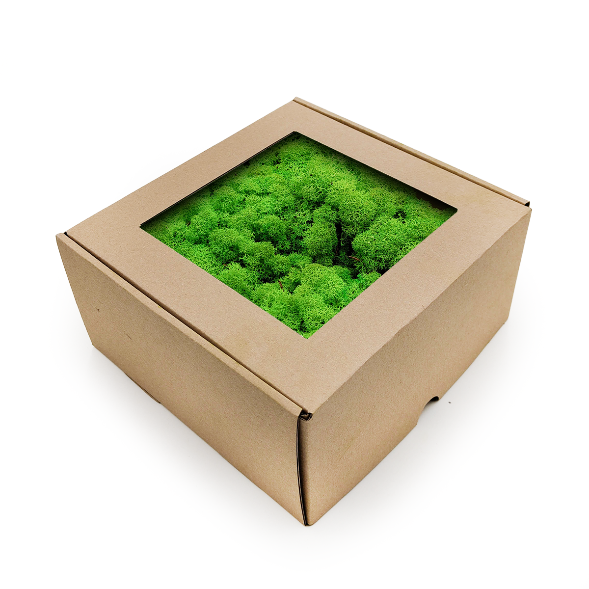 Lichen de renne stabilisée – Norvège – Vert herbe 500 g NET