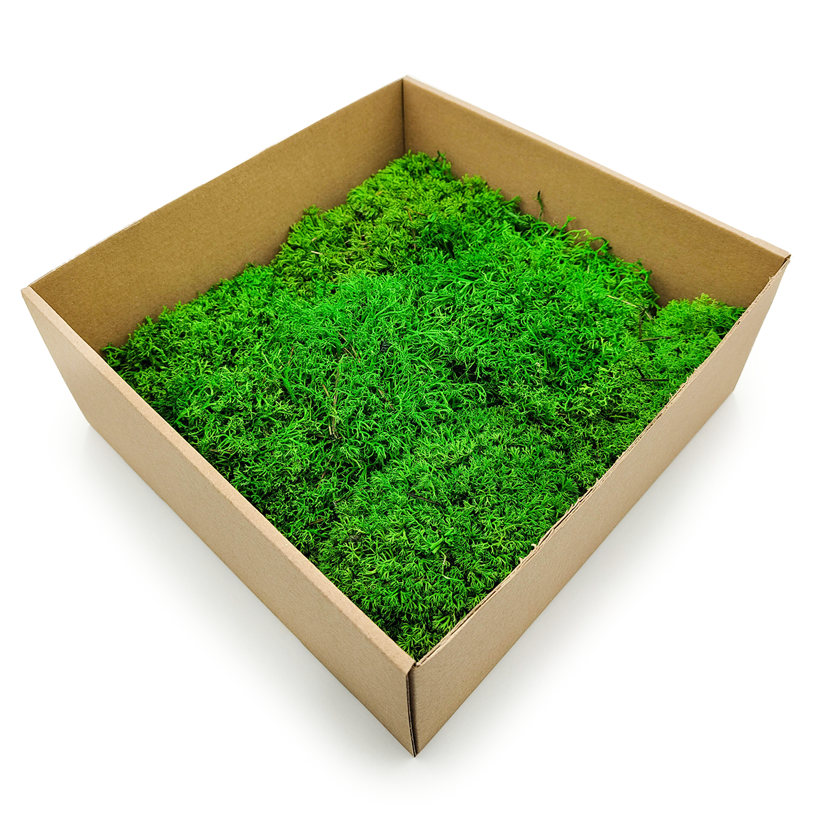 Mousse de renne stabilisée – Boule – Vert clair 25×25 cm