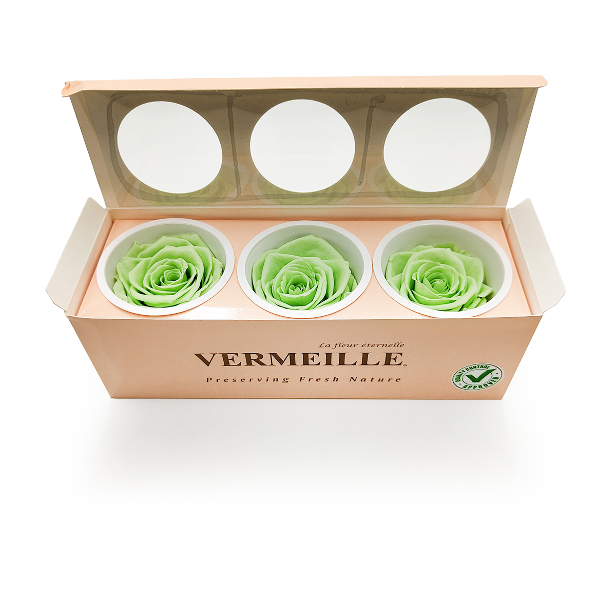 Rose Stabilisée – Vert Citron – XL – 3 pièces