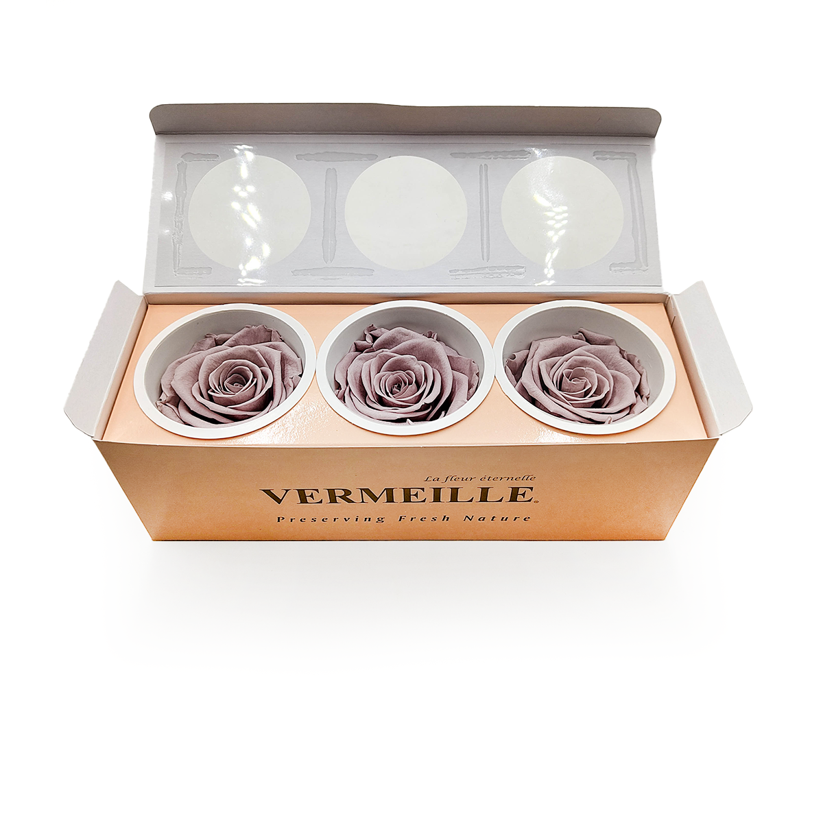 Rose Stabilisée – Beige Sable – XL – 3 pièces