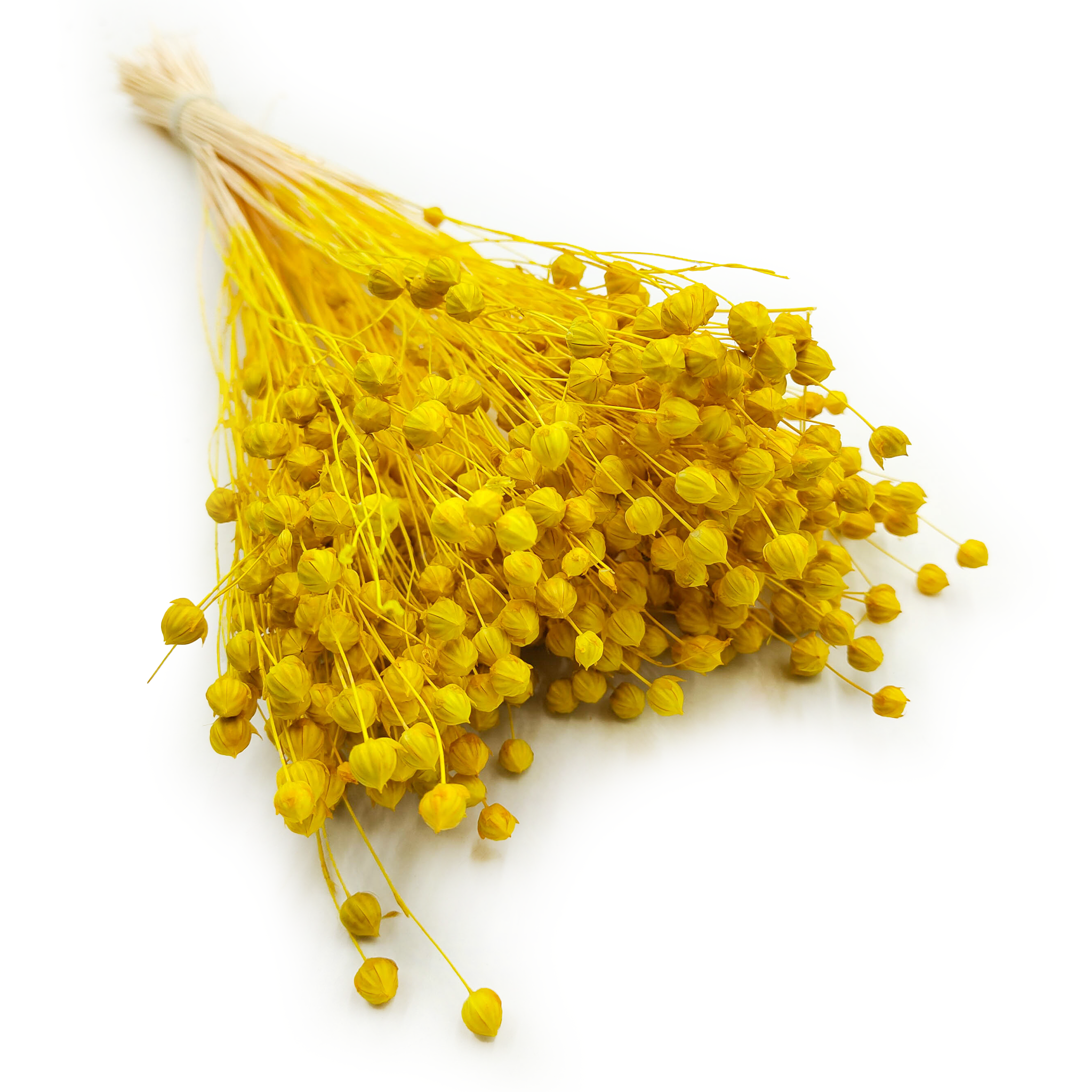 Lin Séché – Jaune