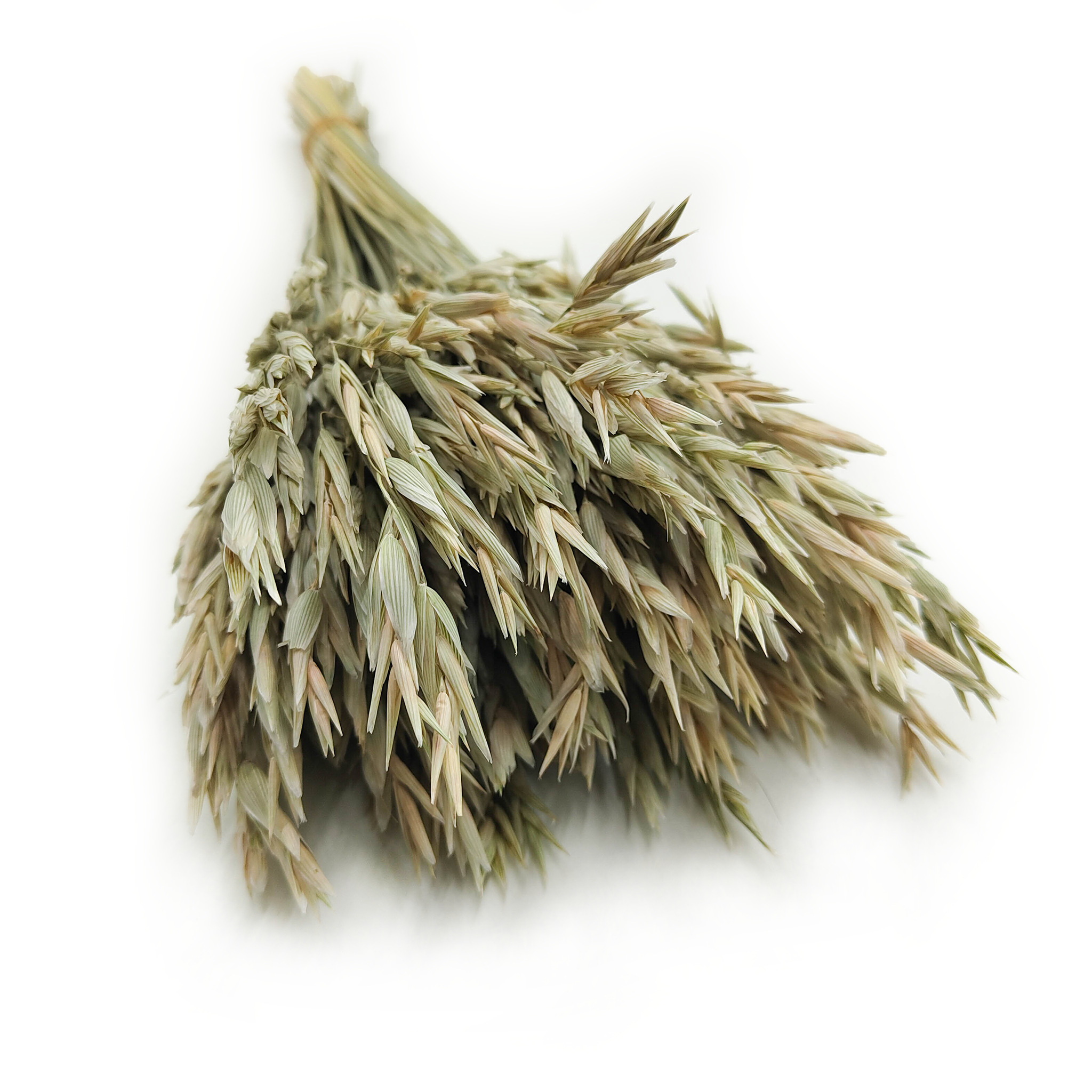 Avoine Séchée – Naturelle