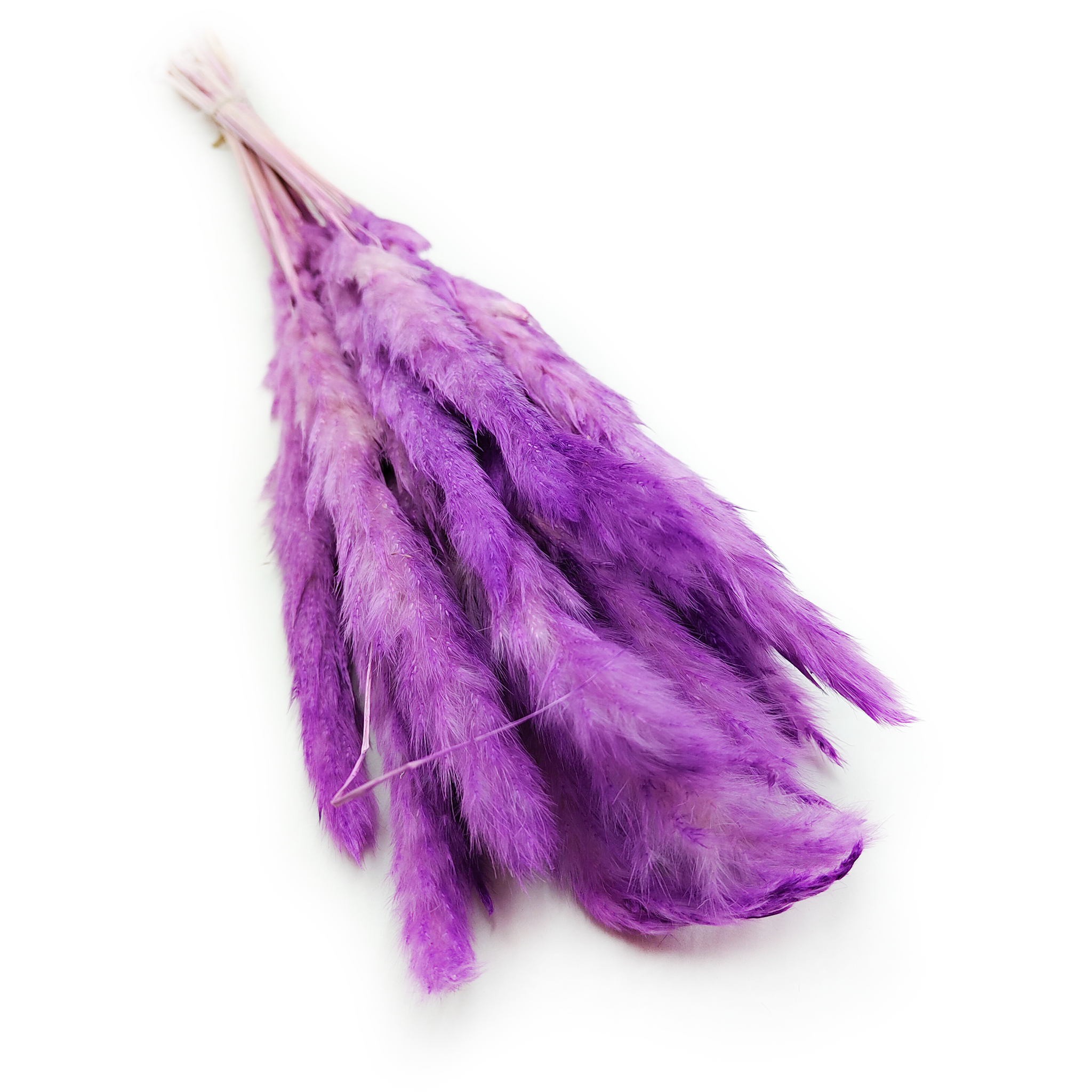 Mini Herbe de la pampa – Violette