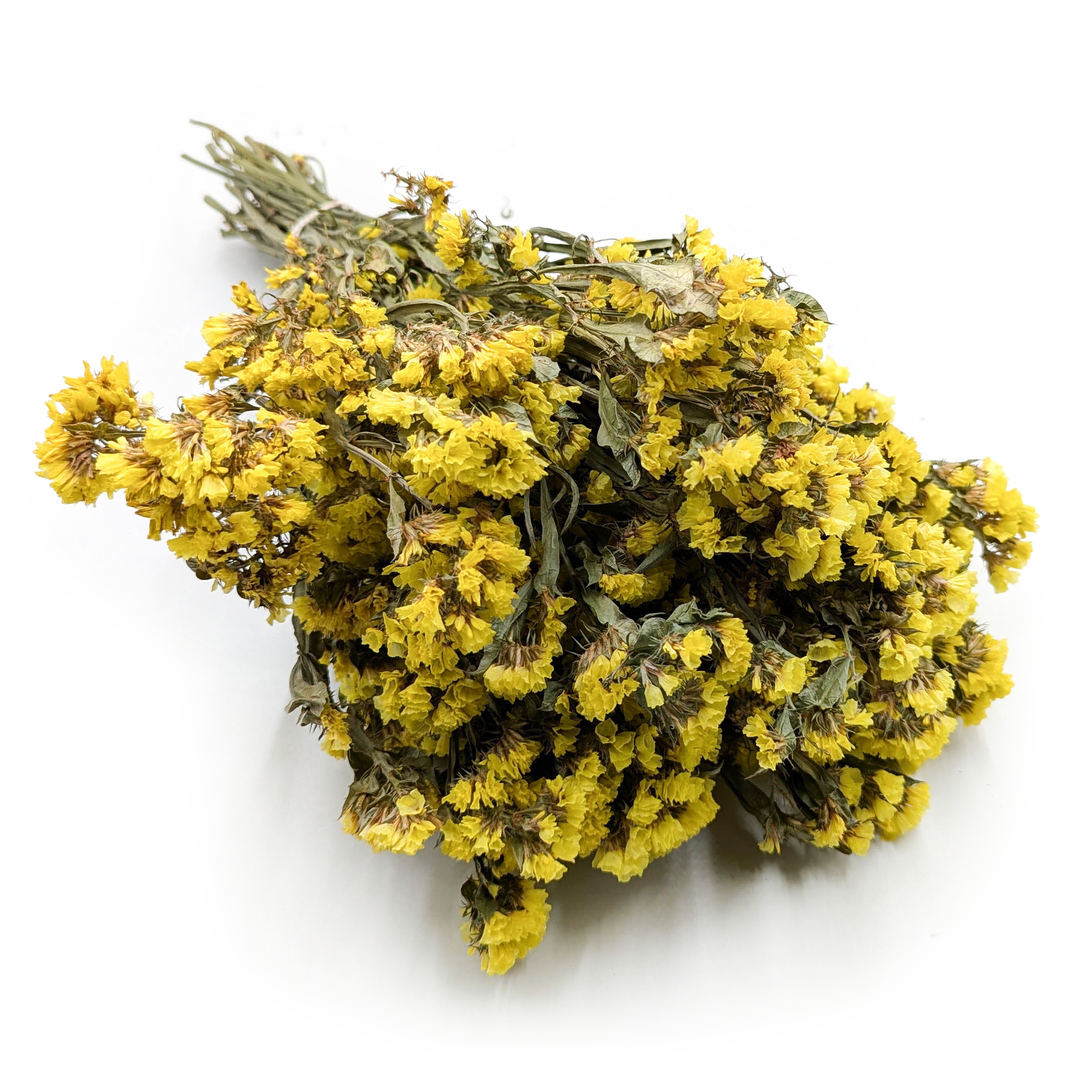 Statice séché (Limonium sinuatum) – Jaune