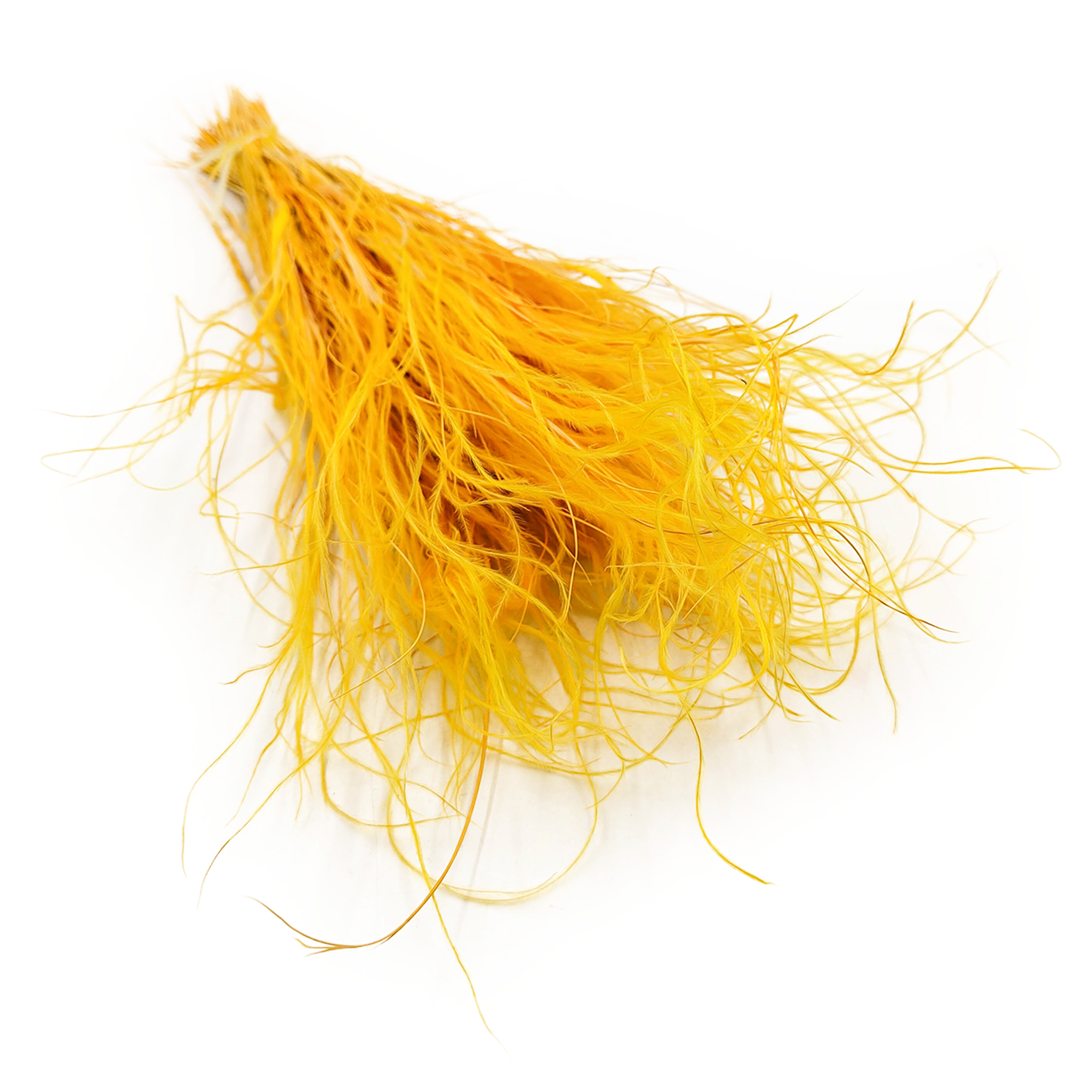 Stipa séchée – Herbe aux plumes – (Stipa pennata) – Gingembre