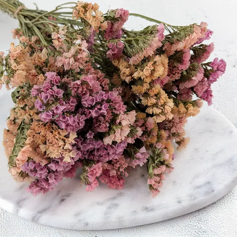 Statice – la fleur du mois d’août et un grand classique de l’art floral séché